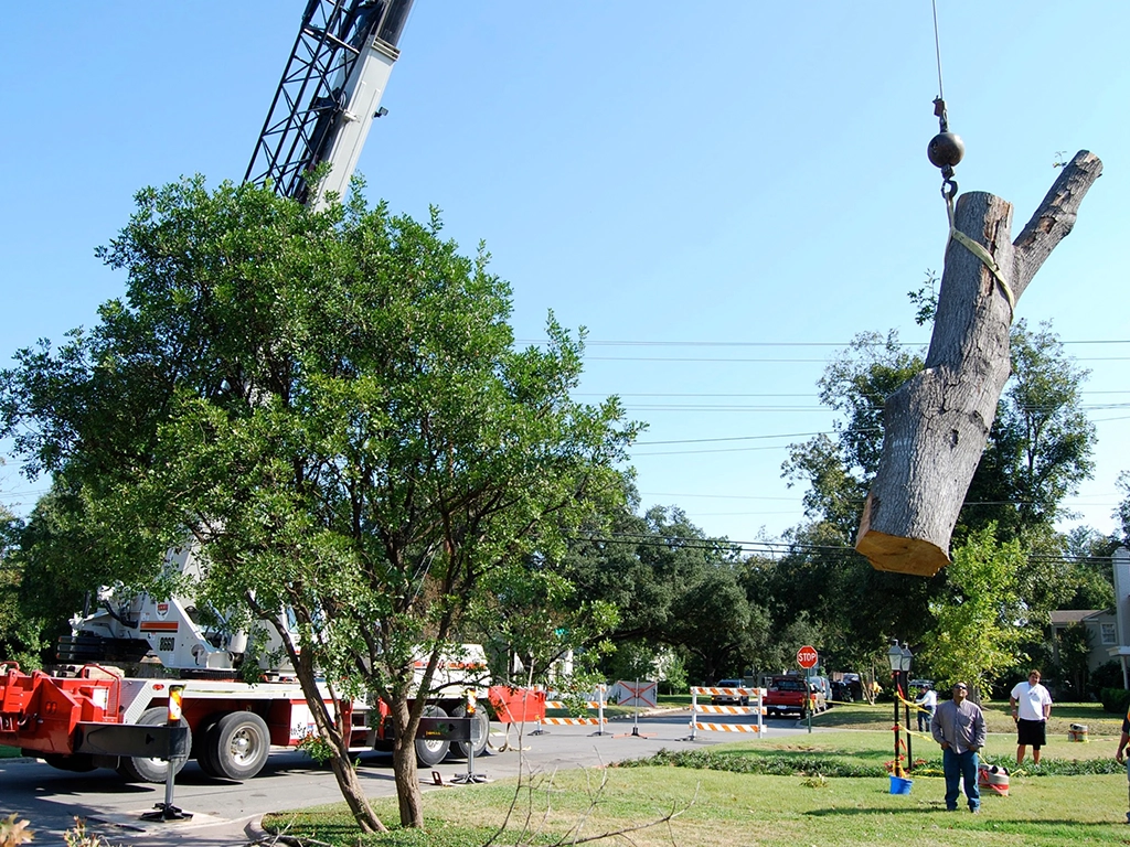 Land clearing log removal and pickup service