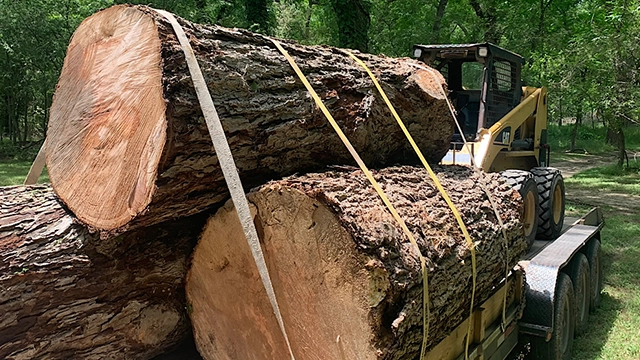 Log pickup services in San Antonio