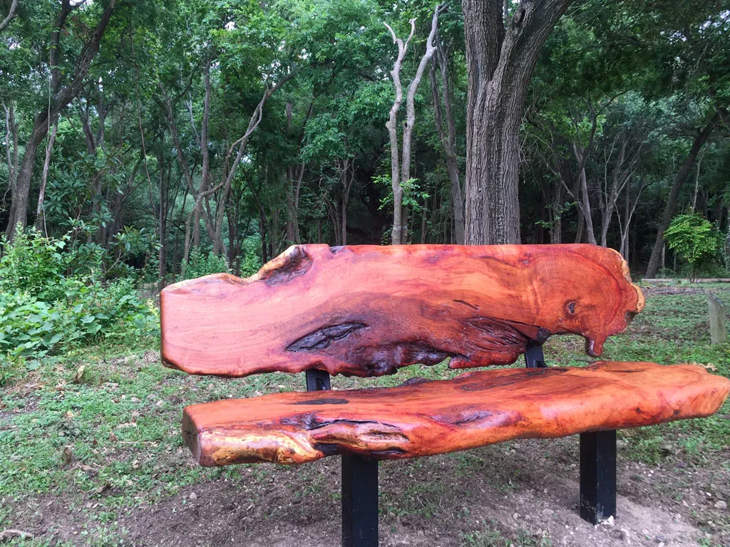 Live edge park bench with backrest on steel legs in natural setting
