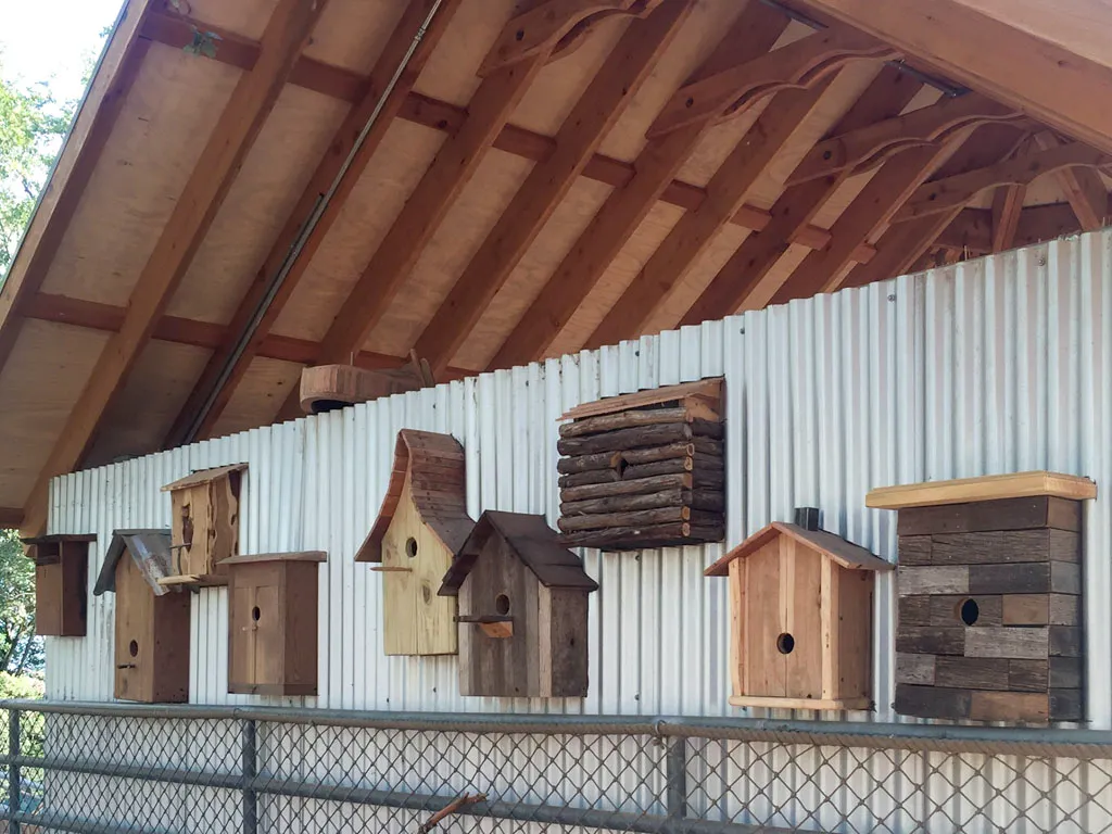 Handcrafted wooden birdhouses in various styles displayed outdoors