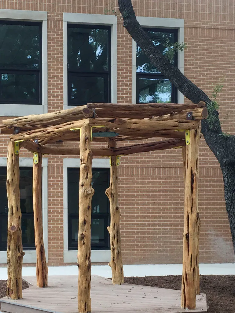 Natural wood pergola with raw tree trunk posts at commercial property