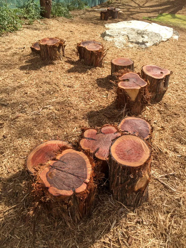 Log stump seating circle arranged in outdoor play area