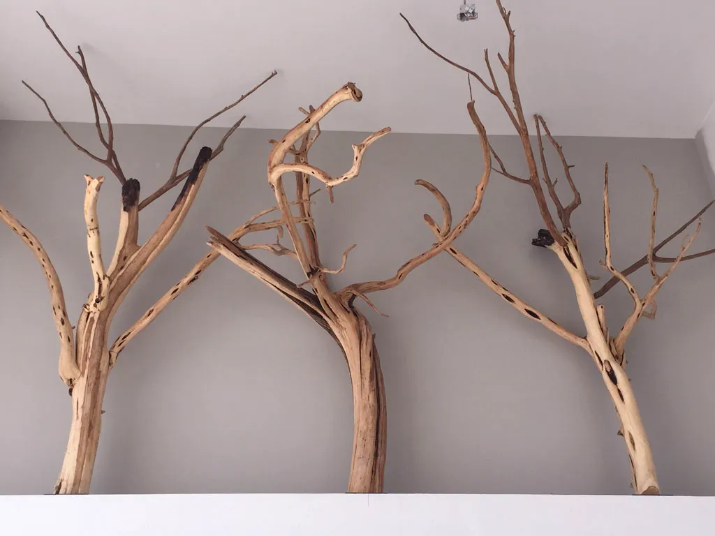 Natural branch art installation handcrafted in San Antonio